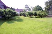 Villa Milevsko - garden