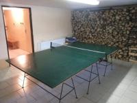 Cottage in the Bohemian forest - table tennis