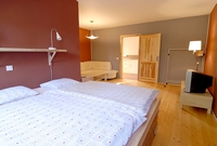 Apartment Prachatice - bedroom