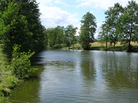 Farmhouse - private pond