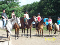 Apartment Dehtáře - horses