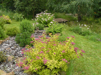 Villa in the Bohemian forest - garden