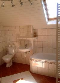 Villa in the Bohemian forest - bathroom