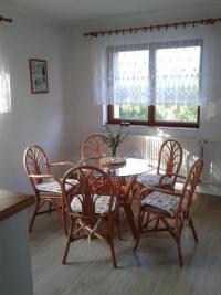 Villa in the Bohemian forest - kitchen