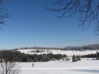 winter in the Bohemian Forest