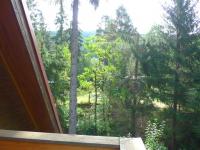 Cottage Annín Šumava -  view from balcony