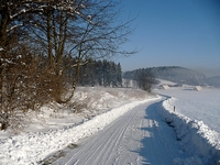 House in the Bohemian forest - surroundings of the village