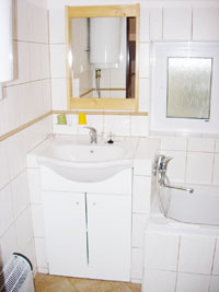 House in the Bohemian forest - bathroom