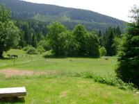 Cottage in the Bohemian forest - view from the chalet