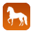 Horseriding 5 km - Doudleby nad Orlicí