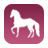 Horseriding projížďky Horseriding projížďky