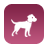 Dog allowed Dog allowed